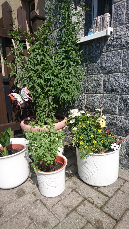 Ferienwohnung Mit Garten Und Spielplatz 클링겐터 외부 사진