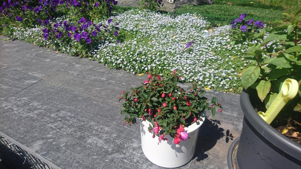 Ferienwohnung Mit Garten Und Spielplatz 클링겐터 외부 사진